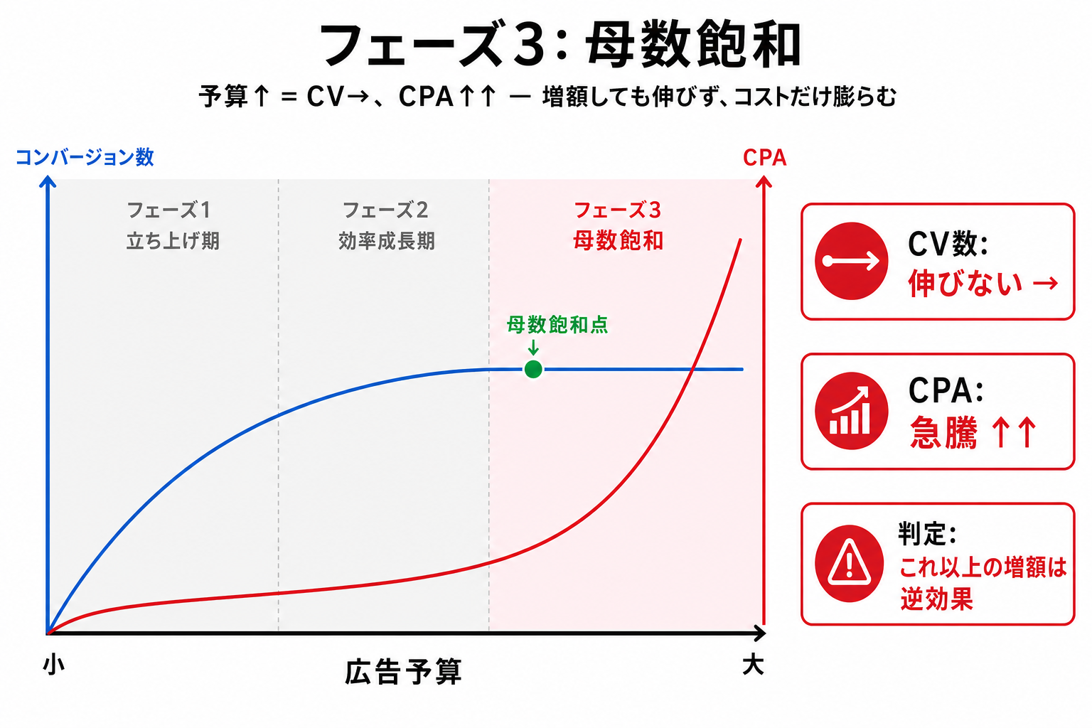 フェーズ3: 母数飽和